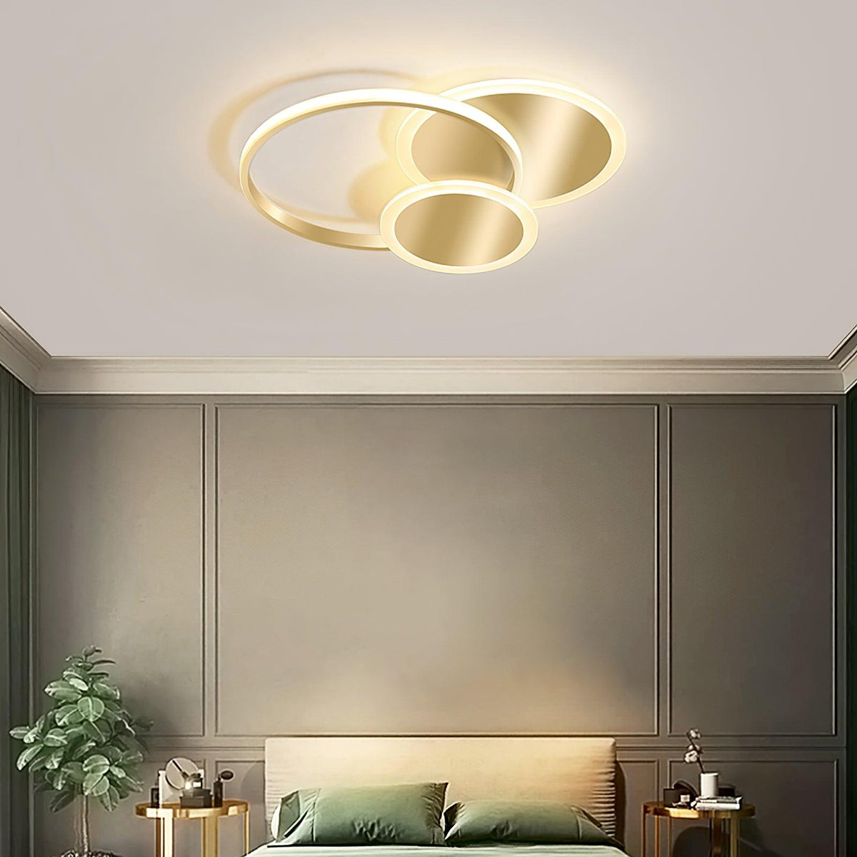 Circles Led Ceiling Light