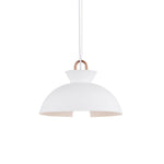 coil-ceiling-pendant-light