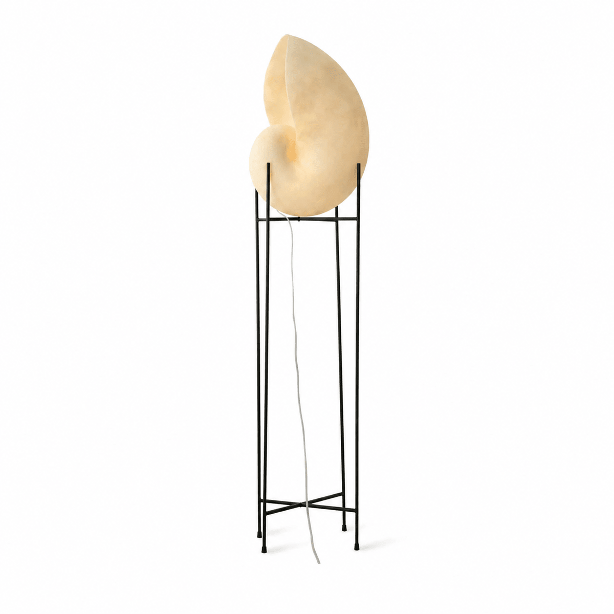Conch Bloom Sculptural Resin Table Lamp with Nautilus Shell Design