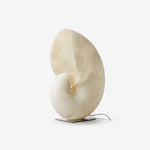 Conch Bloom Sculptural Resin Table Lamp with Nautilus Shell Design