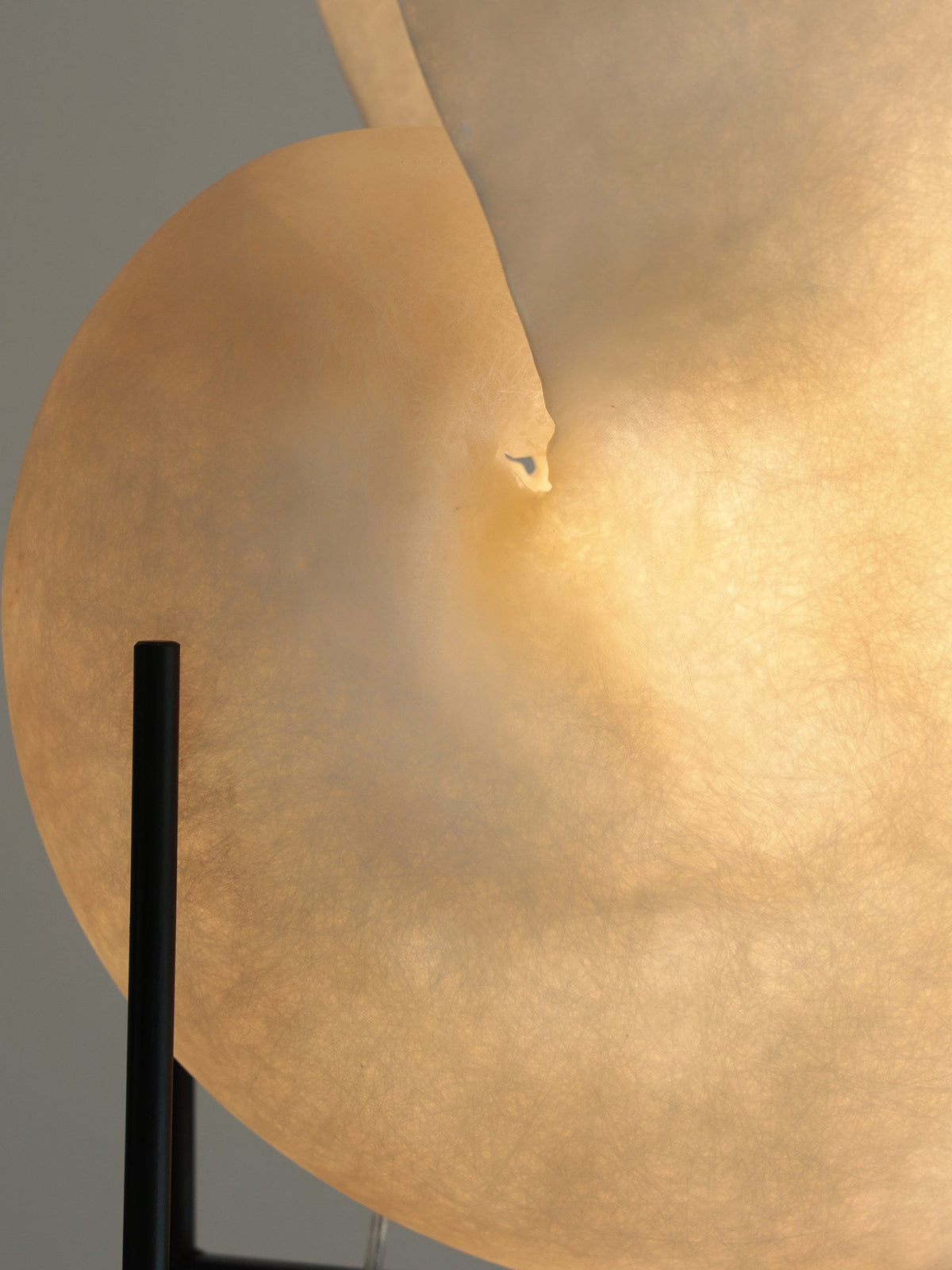 Conch Bloom Sculptural Resin Table Lamp with Nautilus Shell Design