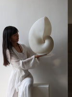 Conch Bloom Sculptural Resin Table Lamp with Nautilus Shell Design