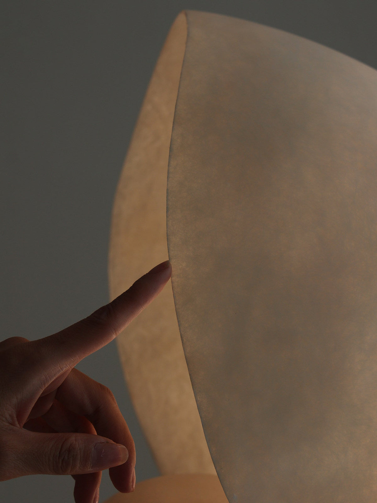 Conch Bloom Sculptural Resin Table Lamp with Nautilus Shell Design