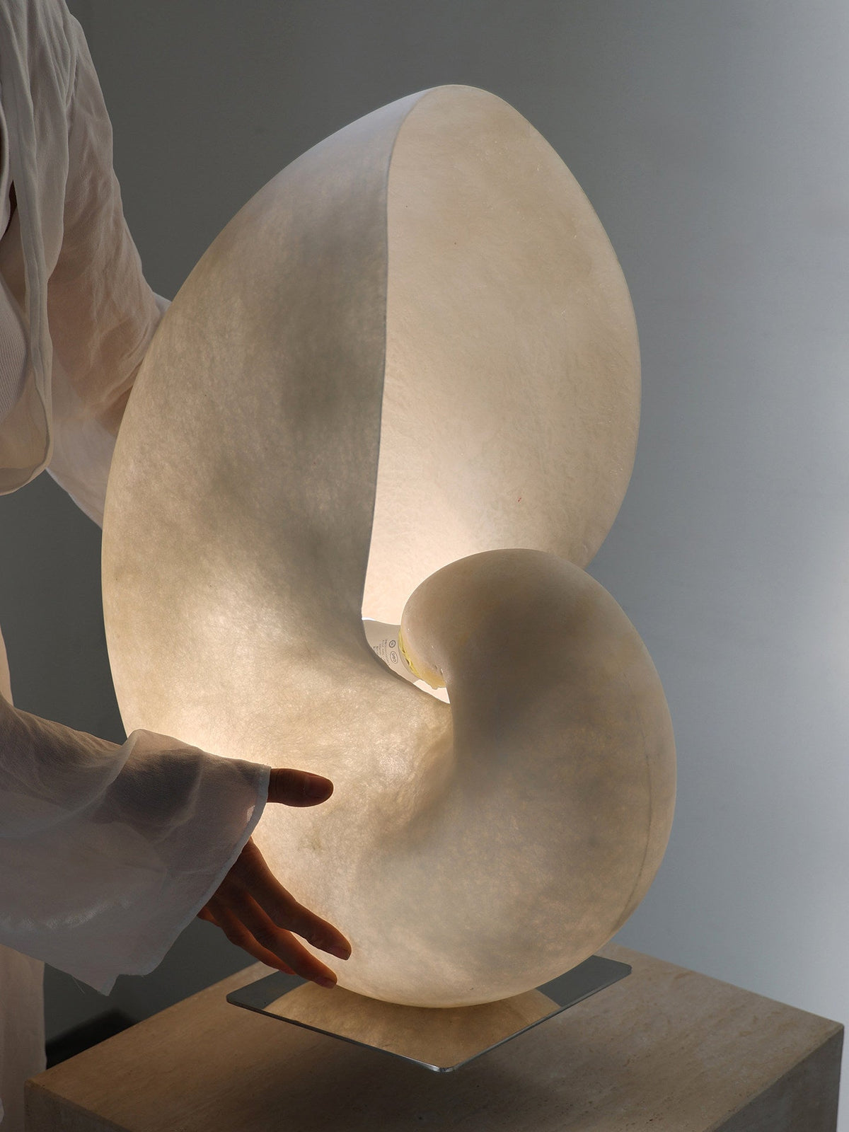 Conch Bloom Sculptural Resin Table Lamp with Nautilus Shell Design