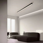 Modern Minimalist Long Strip Ceiling Lamp