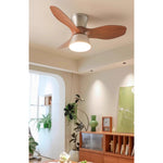 corabelle-ceiling-fan-light