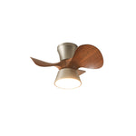 corabelle-ceiling-fan-light