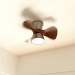 corabelle-ceiling-fan-light