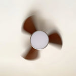 corabelle-ceiling-fan-light
