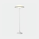 Cosmos Floor Lamp