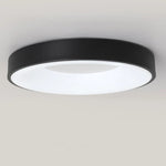 Modern Simple Colorful Ceiling Light
