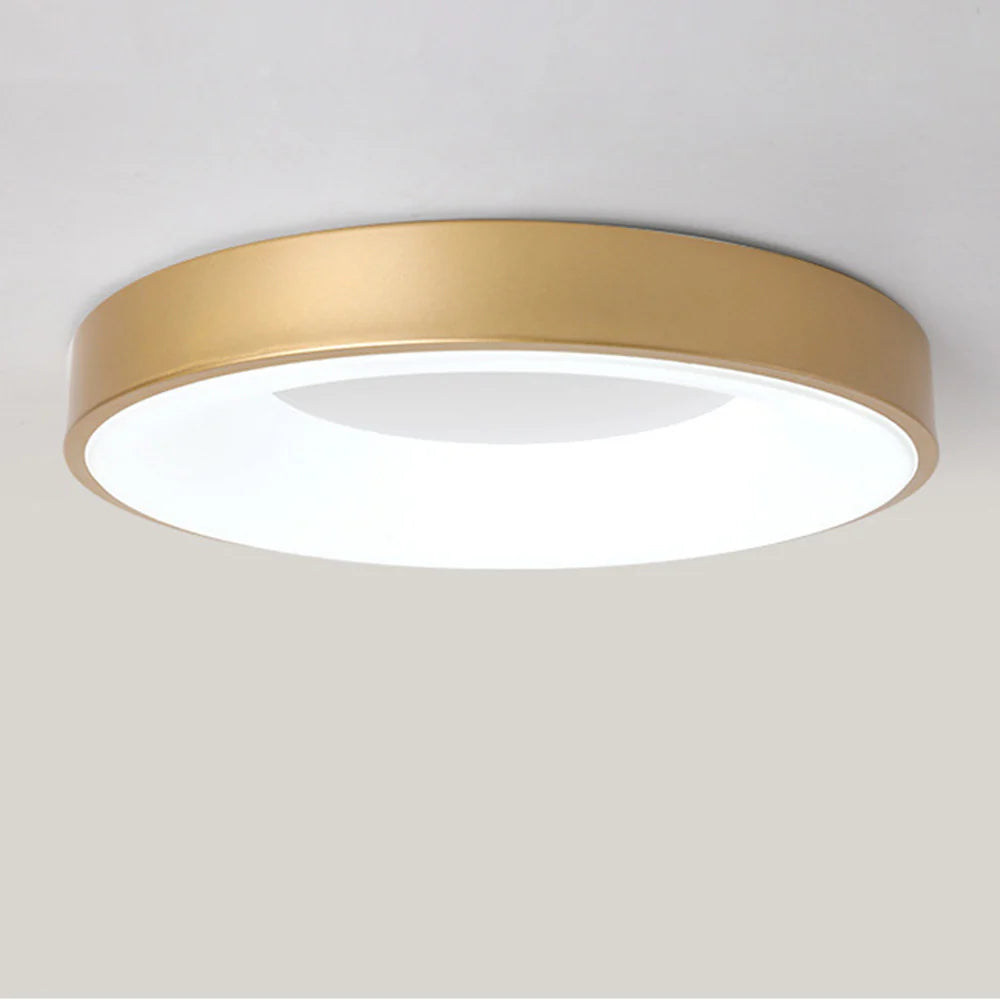 Modern Simple Colorful Ceiling Light