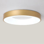 Modern Simple Colorful Ceiling Light