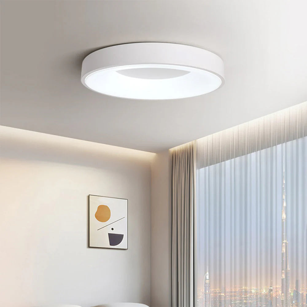 Modern Simple Colorful Ceiling Light