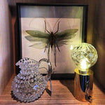 Crystal Bulb LED Table Lamp