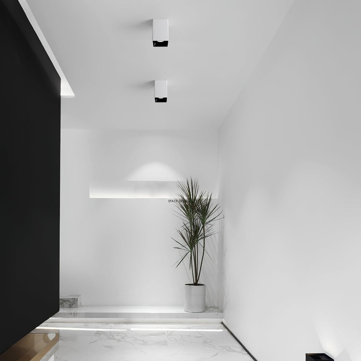Cube Spotlight