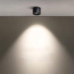 Cylinder recessed LED downlight