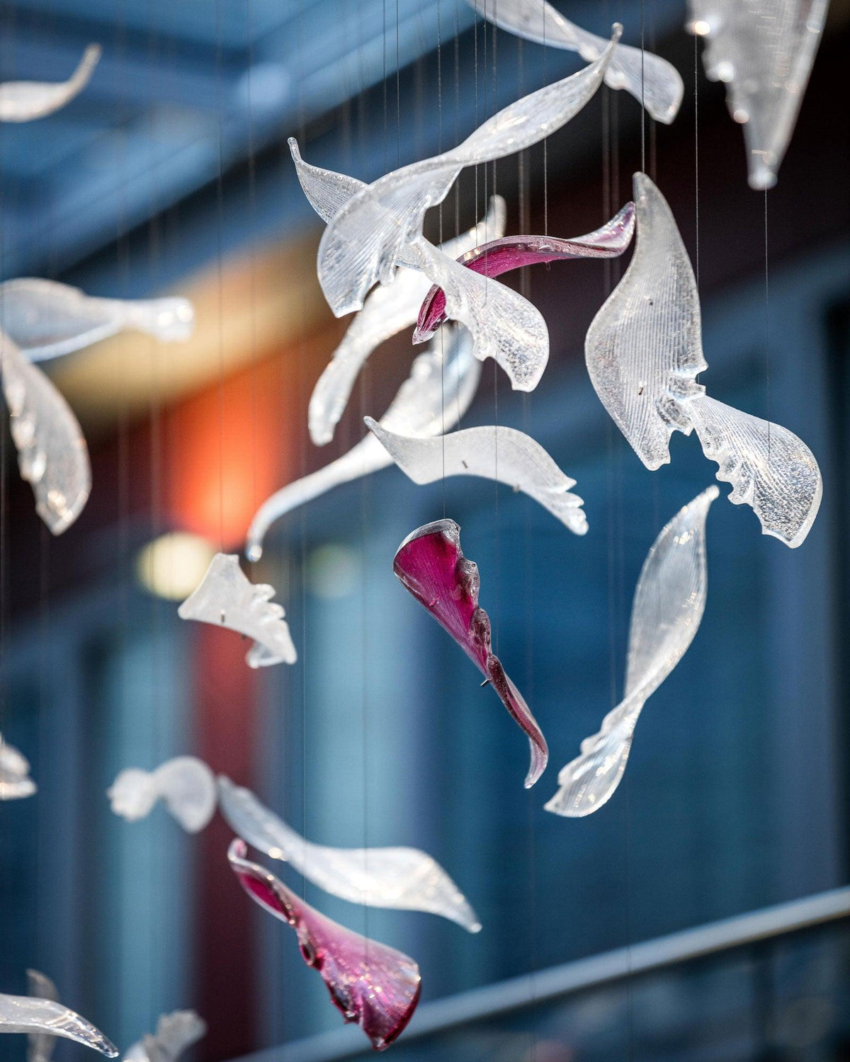 diy-flying-glass-feather-chandelier