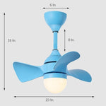 Lighting Ceiling Lights Ceiling Fans_4Rmck