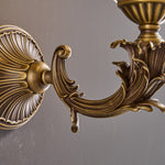 darwin-wall-lamp