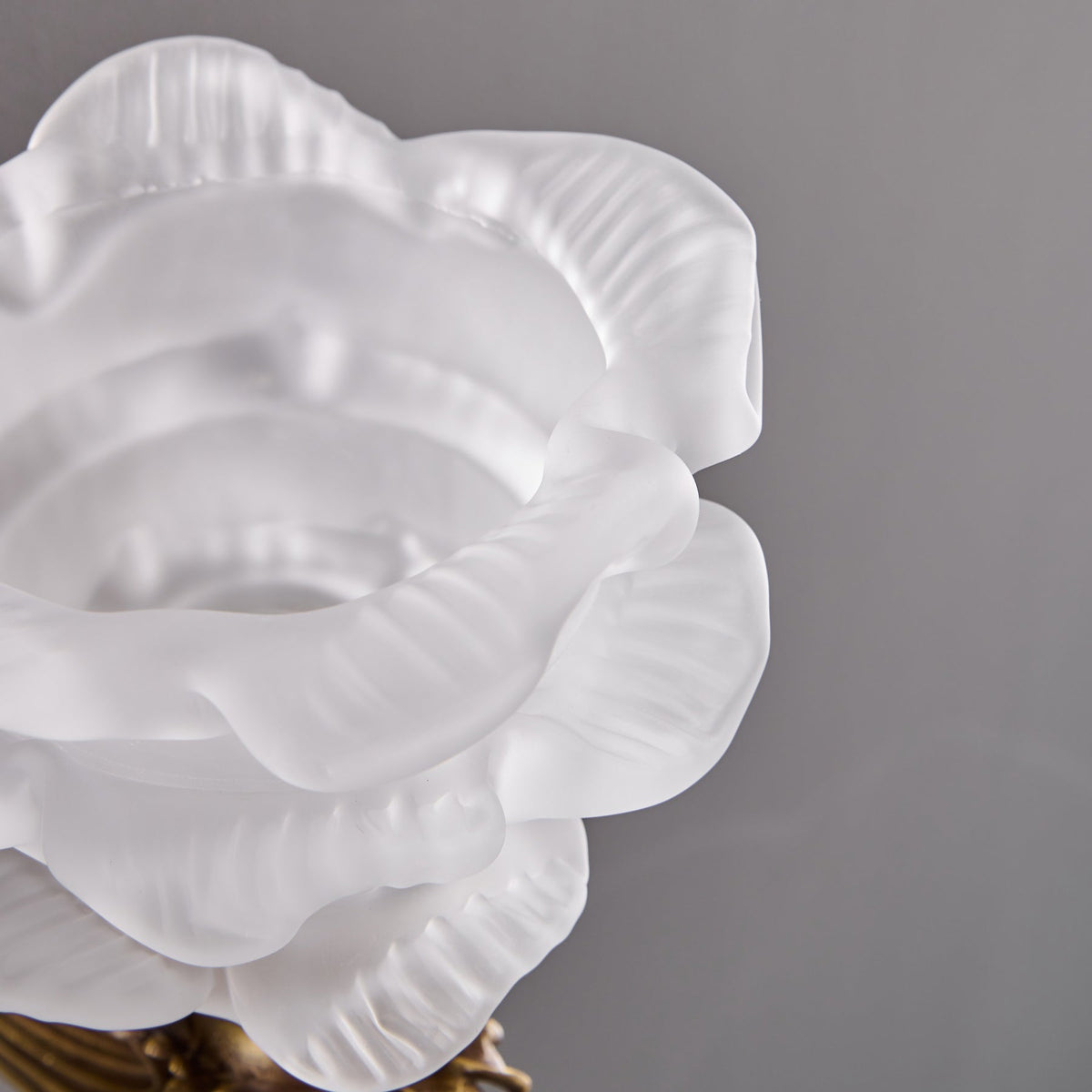 darwin-wall-lamp