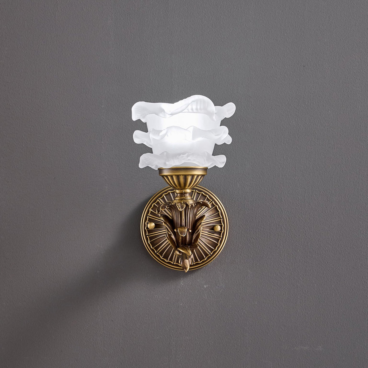 darwin-wall-lamp
