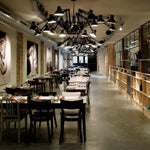 Dear Ingo Chandeliers