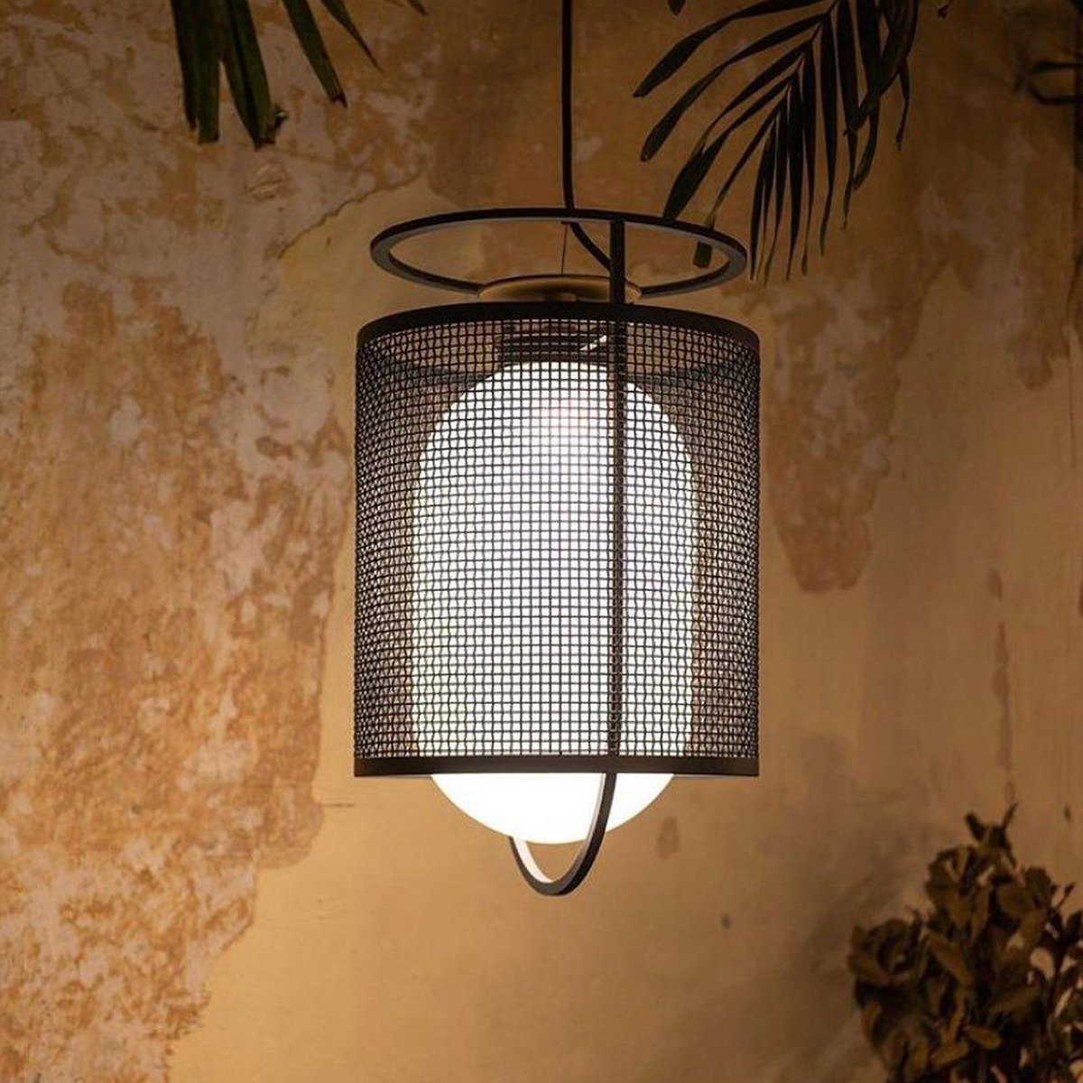 Denglong Pendant Lamp