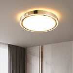 Diamond Ring Ceiling Light
