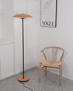 directional-floor-lamp