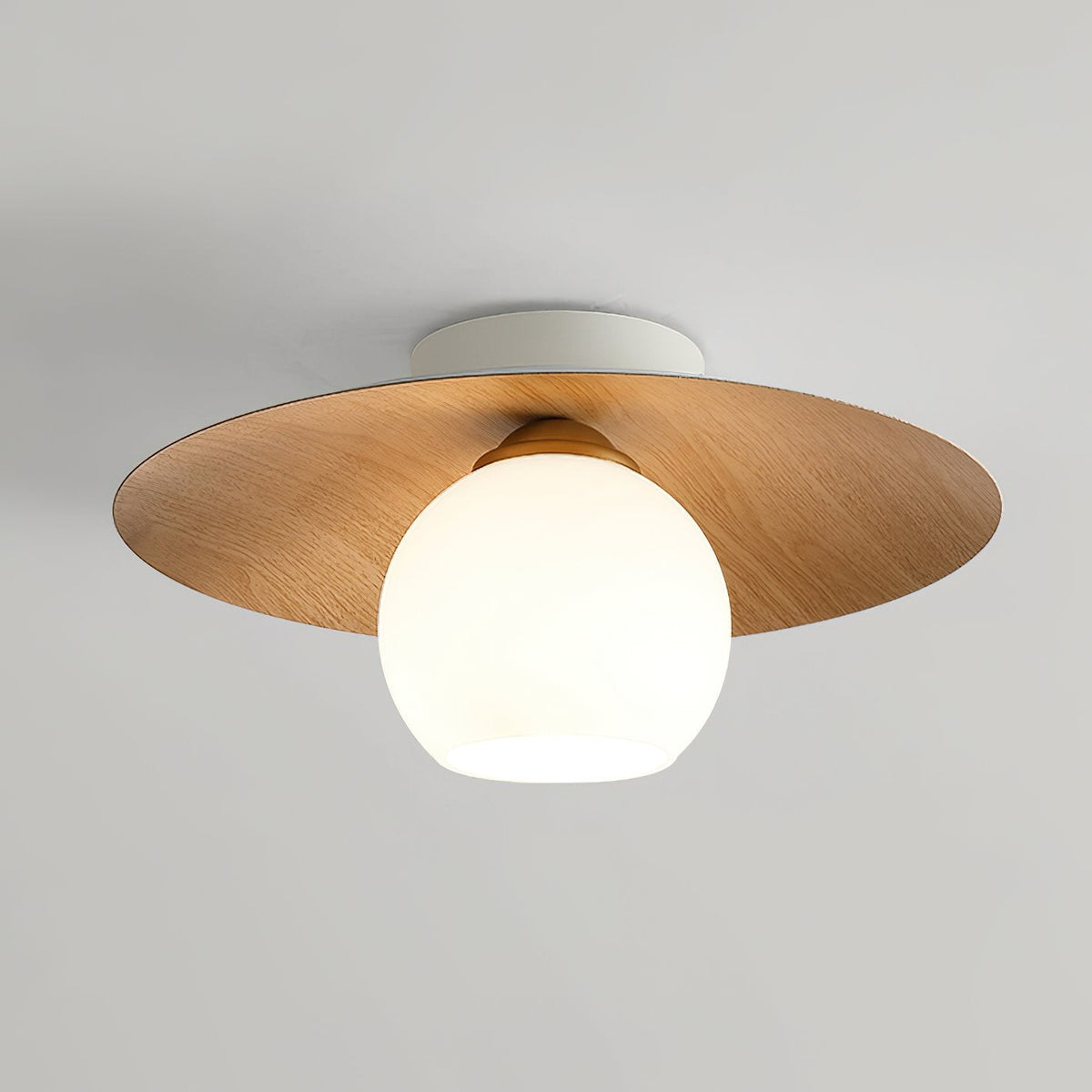 Dish
