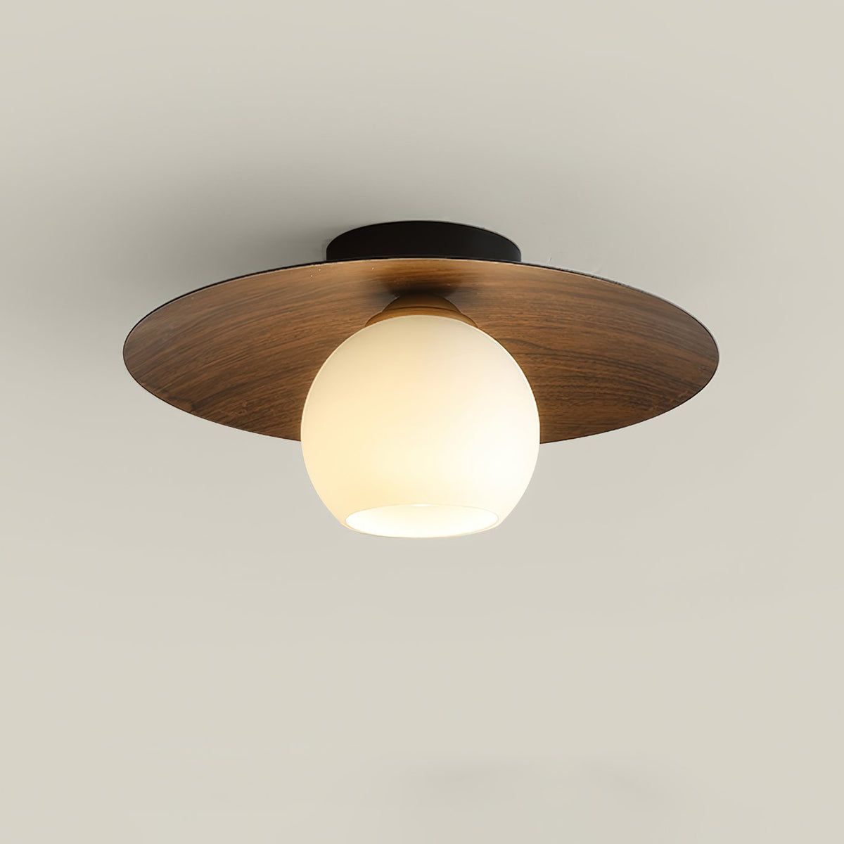 Dish