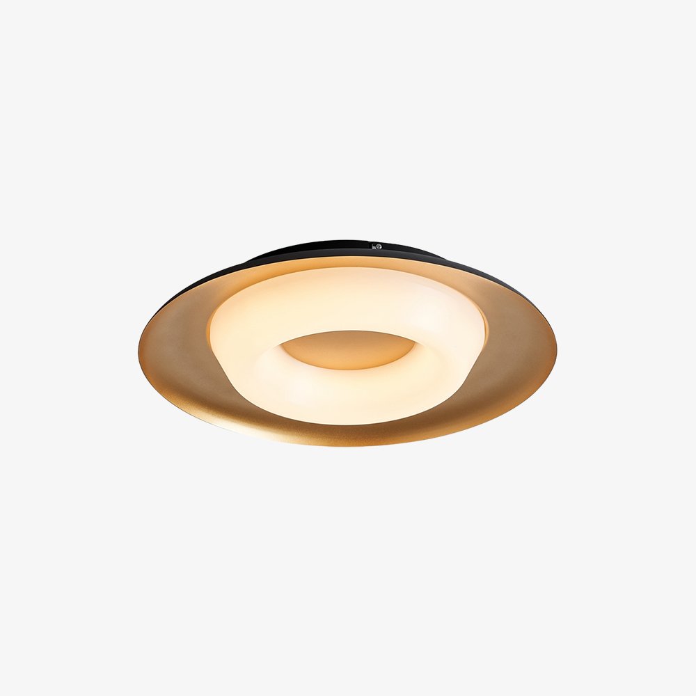 Donut Ceiling Light