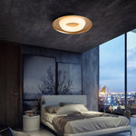Donut Ceiling Light