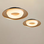 Donut Ceiling Light