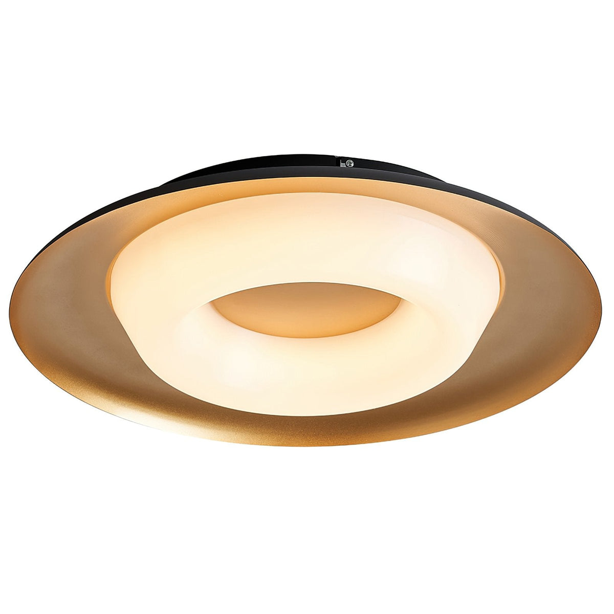 Donut Ceiling Light