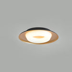 Donut Ceiling Light