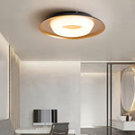Donut Ceiling Light