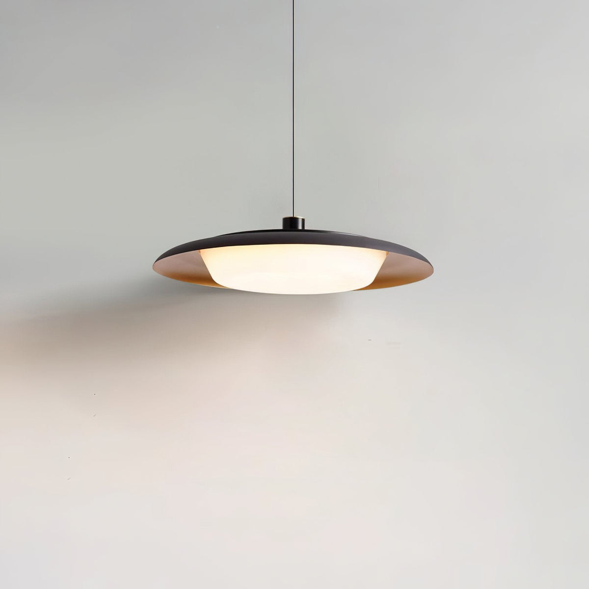 Donut Pendant Light