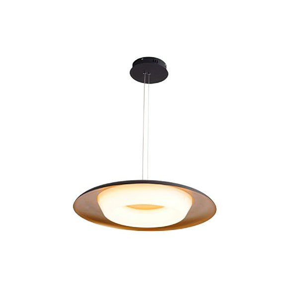 Donut Pendant Light