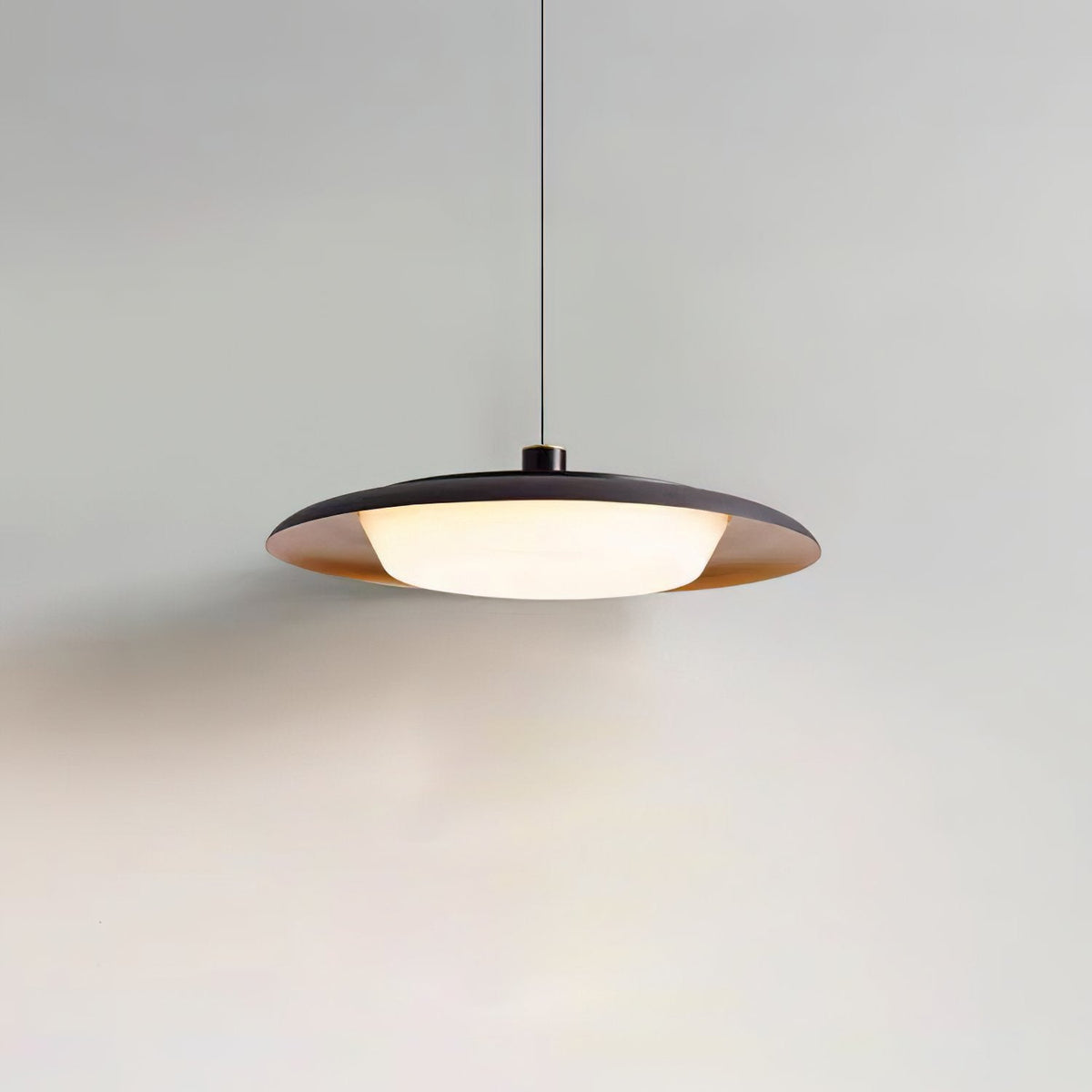 Donut Pendant Light