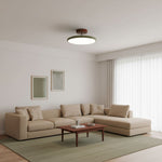 Drift Adjustable Ceiling Light – Modern LED Flush Mount for Living Room & Bedroom