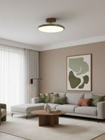 Drift Adjustable Ceiling Light – Modern LED Flush Mount for Living Room & Bedroom