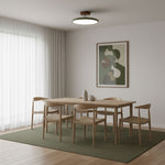 Drift Adjustable Ceiling Light – Modern LED Flush Mount for Living Room & Bedroom