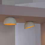duo-ceiling-lamp