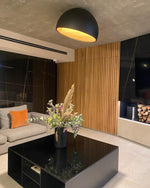 duo-ceiling-lamp
