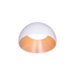duo-ceiling-lamp