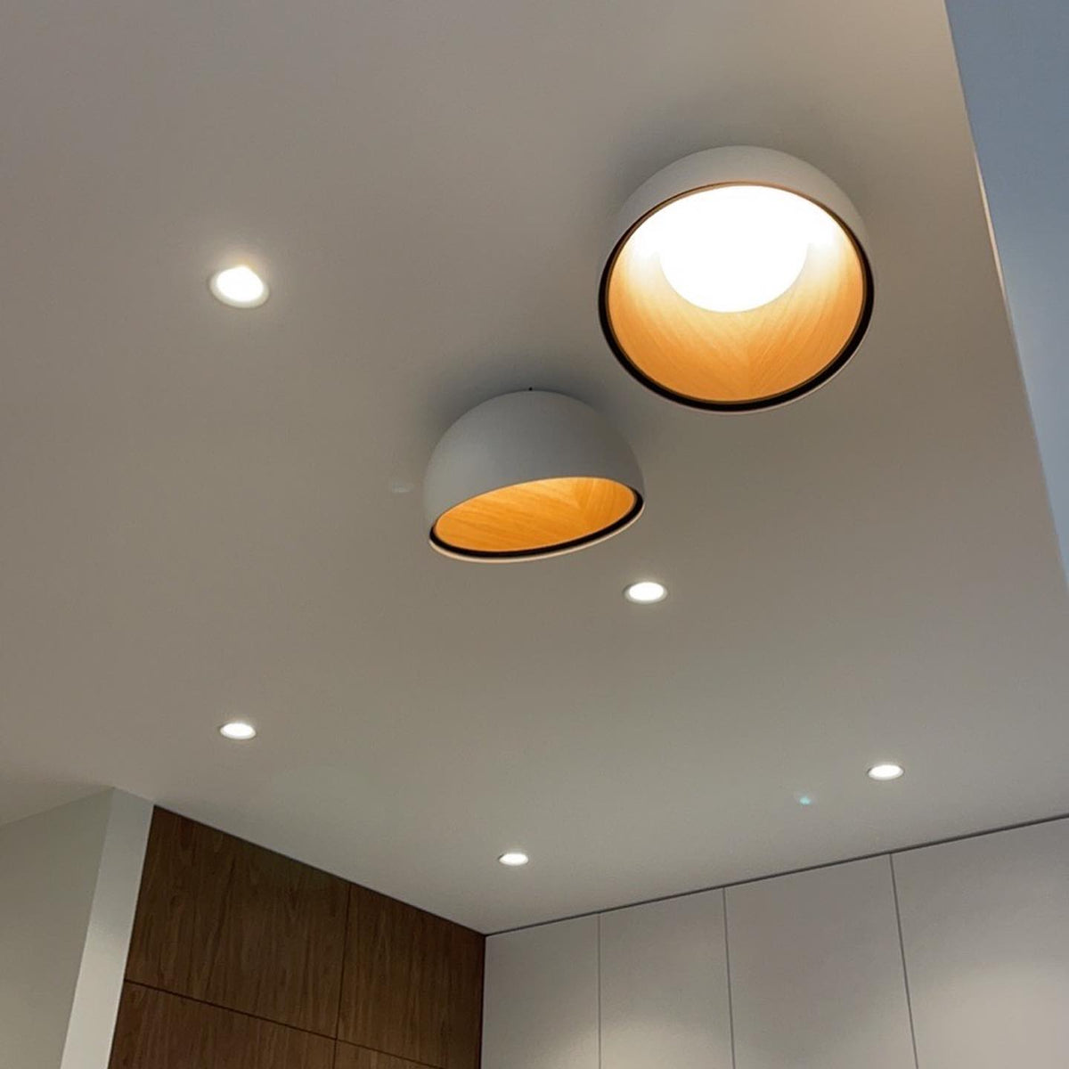 duo-ceiling-lamp