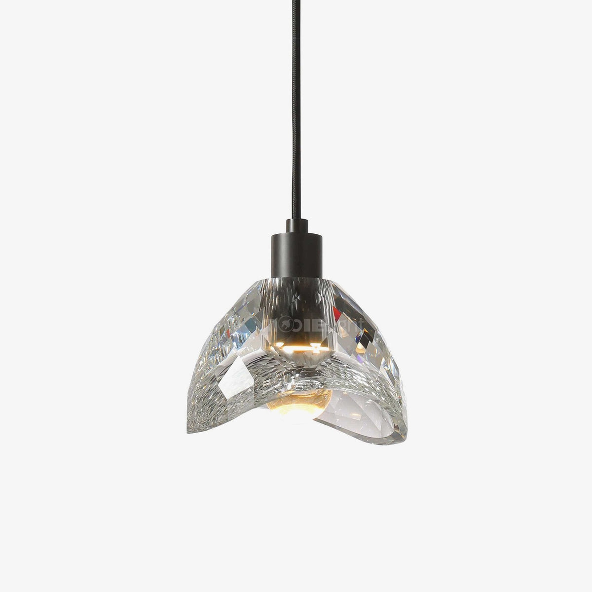 Einstein Pendant Light