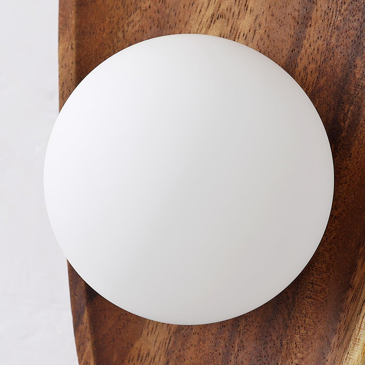 Eivor Plug-in Wall Sconce in Natural Walnut Wood and Glass